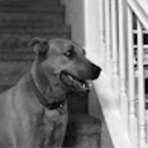 Meet your Posher, Nate